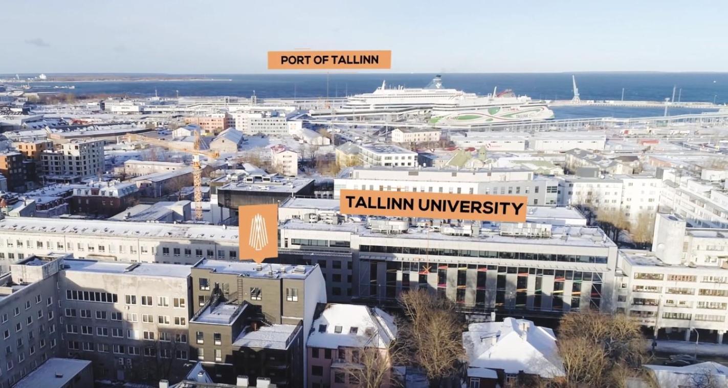 Urban-Glam City Centre Studio With A Gym And Terrace Tallin Exterior foto
